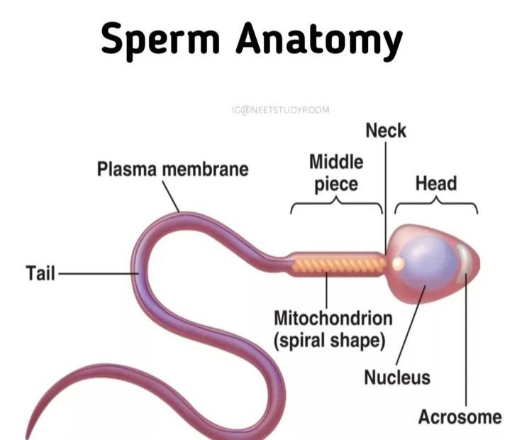 0de5e86935ffa929efaf8767b4351e584104389620097085907
