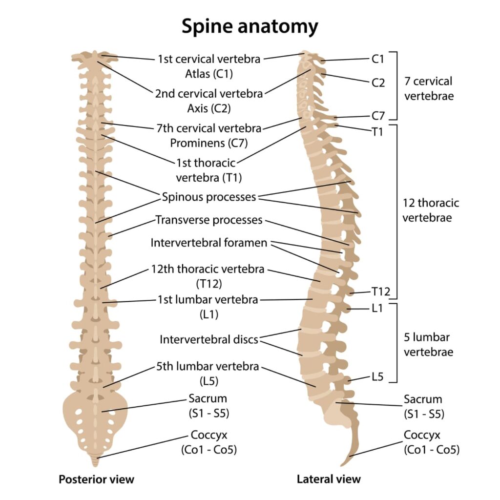 WhatsApp Image 2026 01 23 at 5.05.15 PM