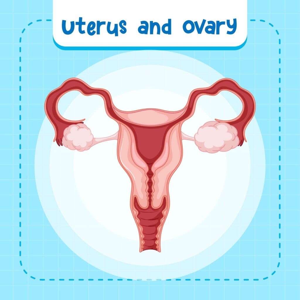 s77i dsa2 2201135295165870855037585