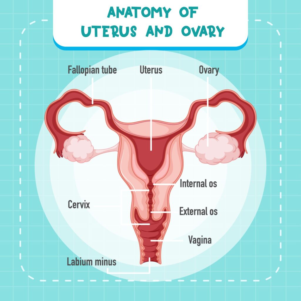 y1ng qt38 2201139136369161607802537